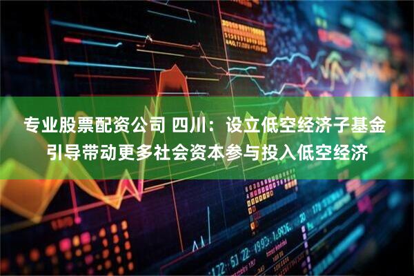 专业股票配资公司 四川：设立低空经济子基金 引导带动更多社会资本参与投入低空经济