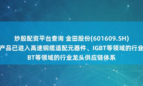 炒股配资平台查询 金田股份(601609.SH)：高导精密铜排产品已进入高速铜缆适配元器件、IGBT等领域的行业龙头供应链体系