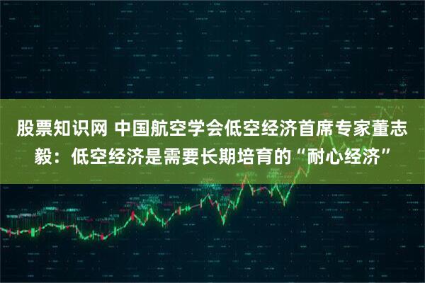 股票知识网 中国航空学会低空经济首席专家董志毅：低空经济是需要长期培育的“耐心经济”
